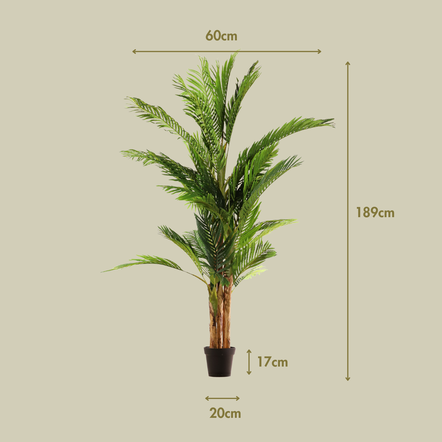 Palmera 189 cm