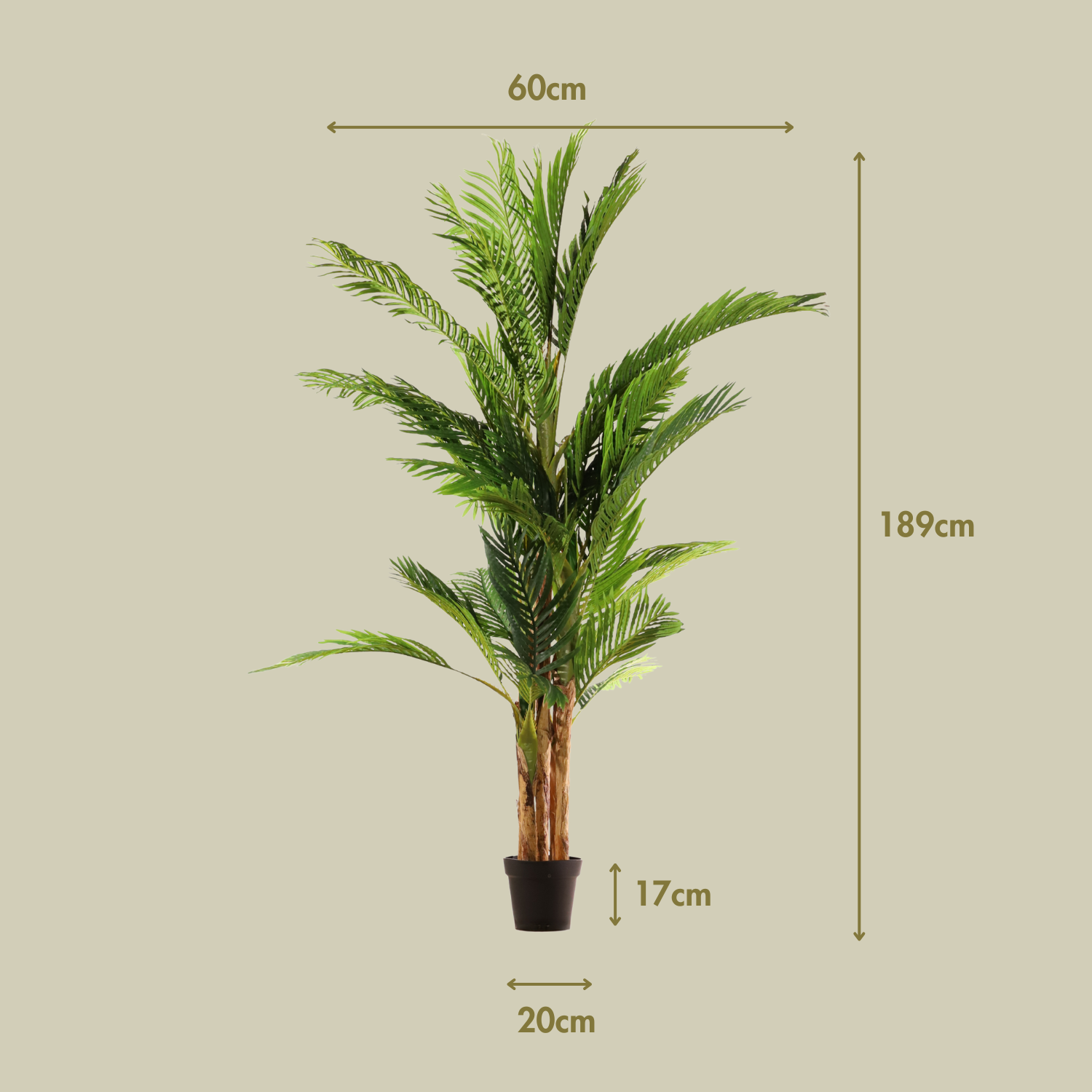 Palmera 189 cm