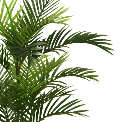 Palmera 85cm