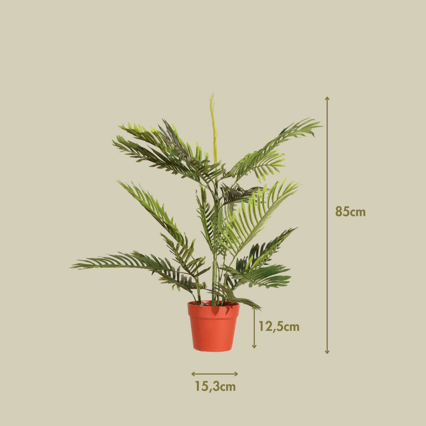 Palmera 85cm