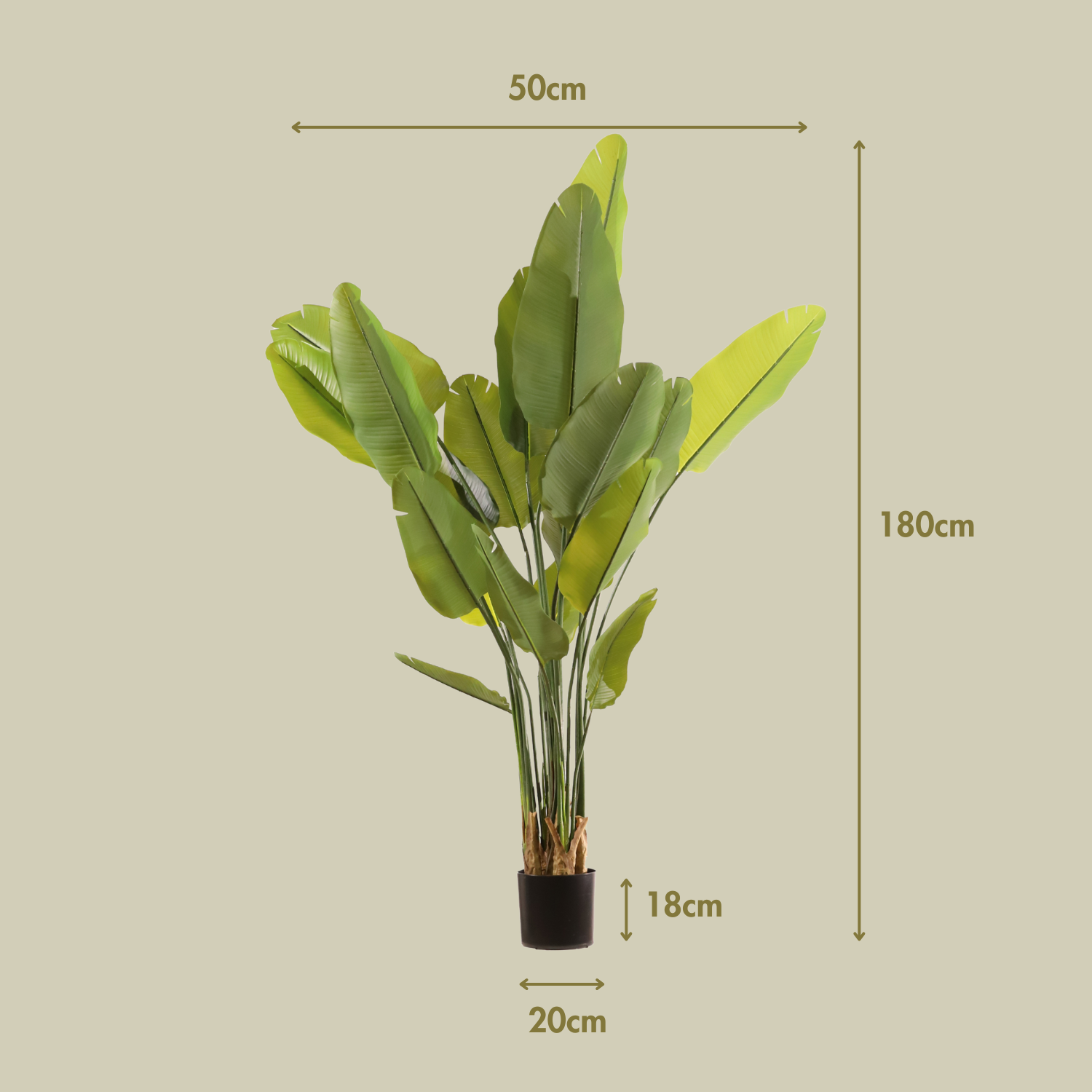 Ravenala 180 cm