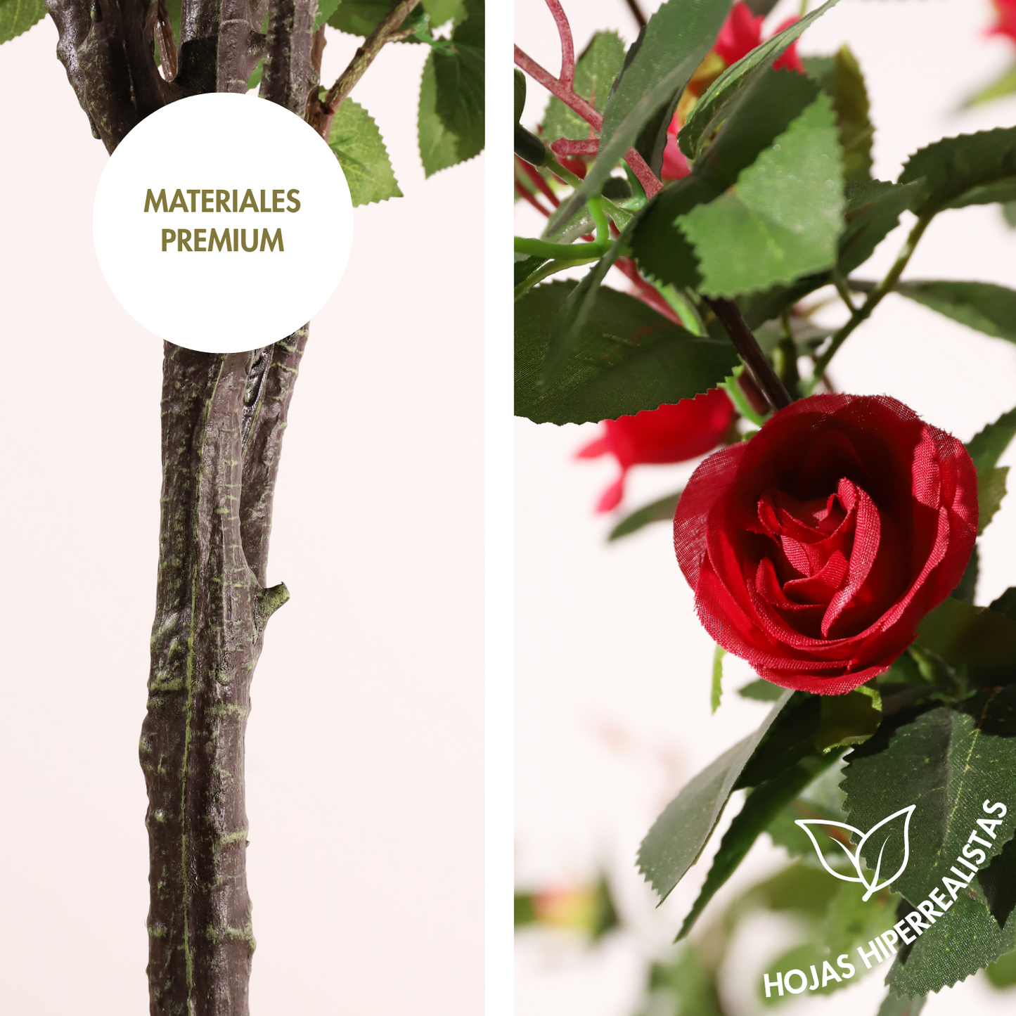 Rosal fucsia 160 cm