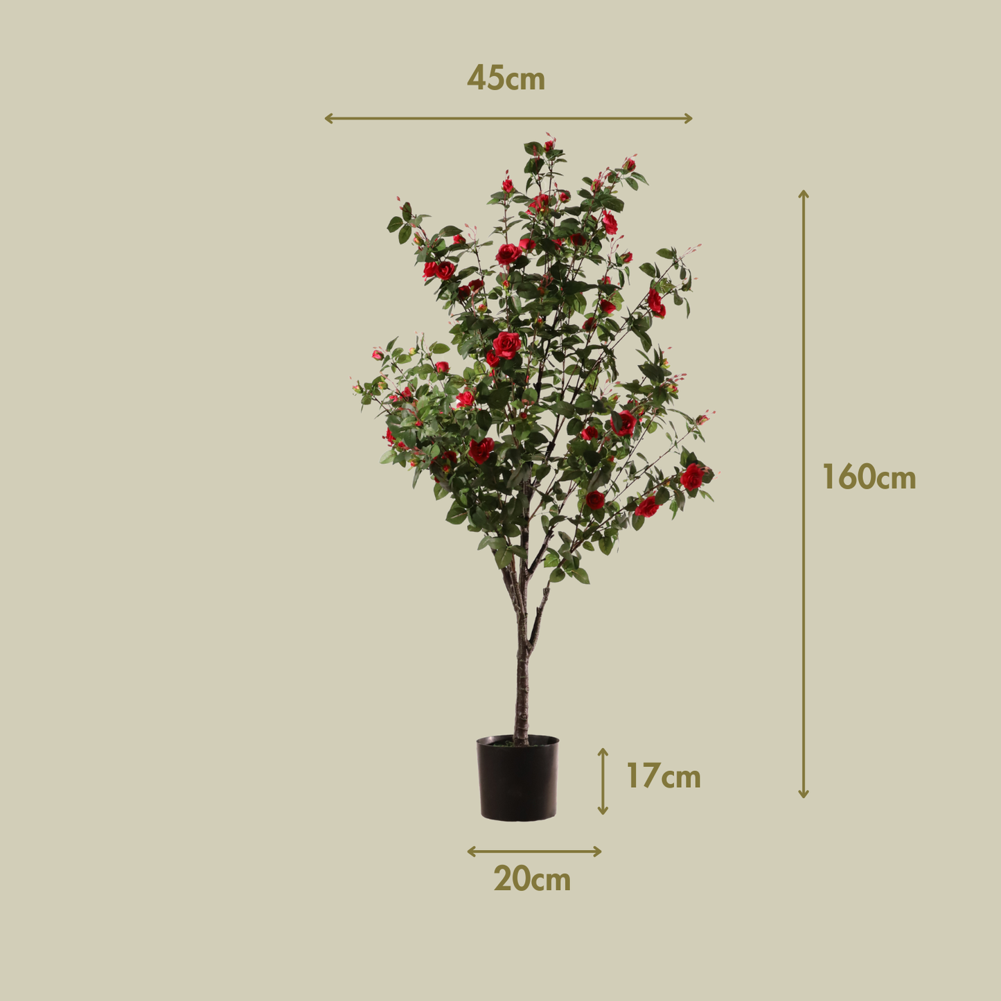 Rosal fucsia 160 cm