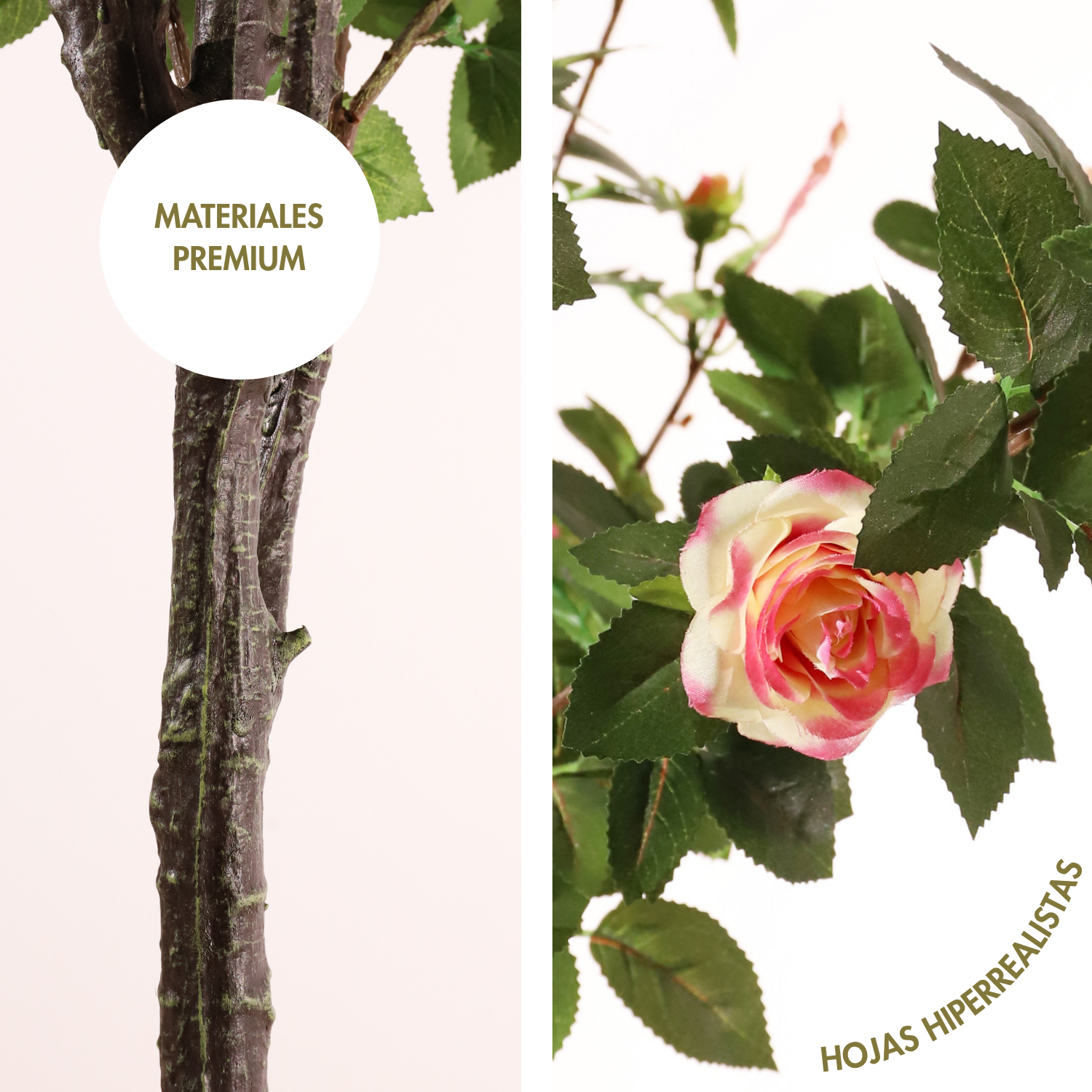 Rosal rosa 160 cm
