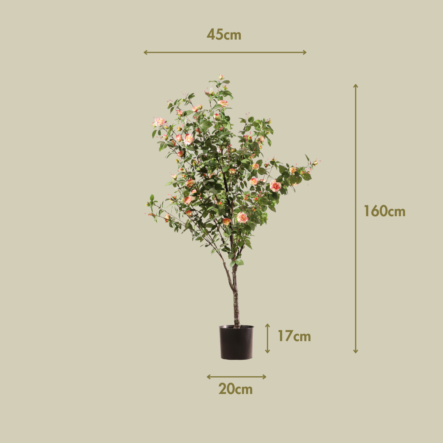 Rosal rosa 160 cm