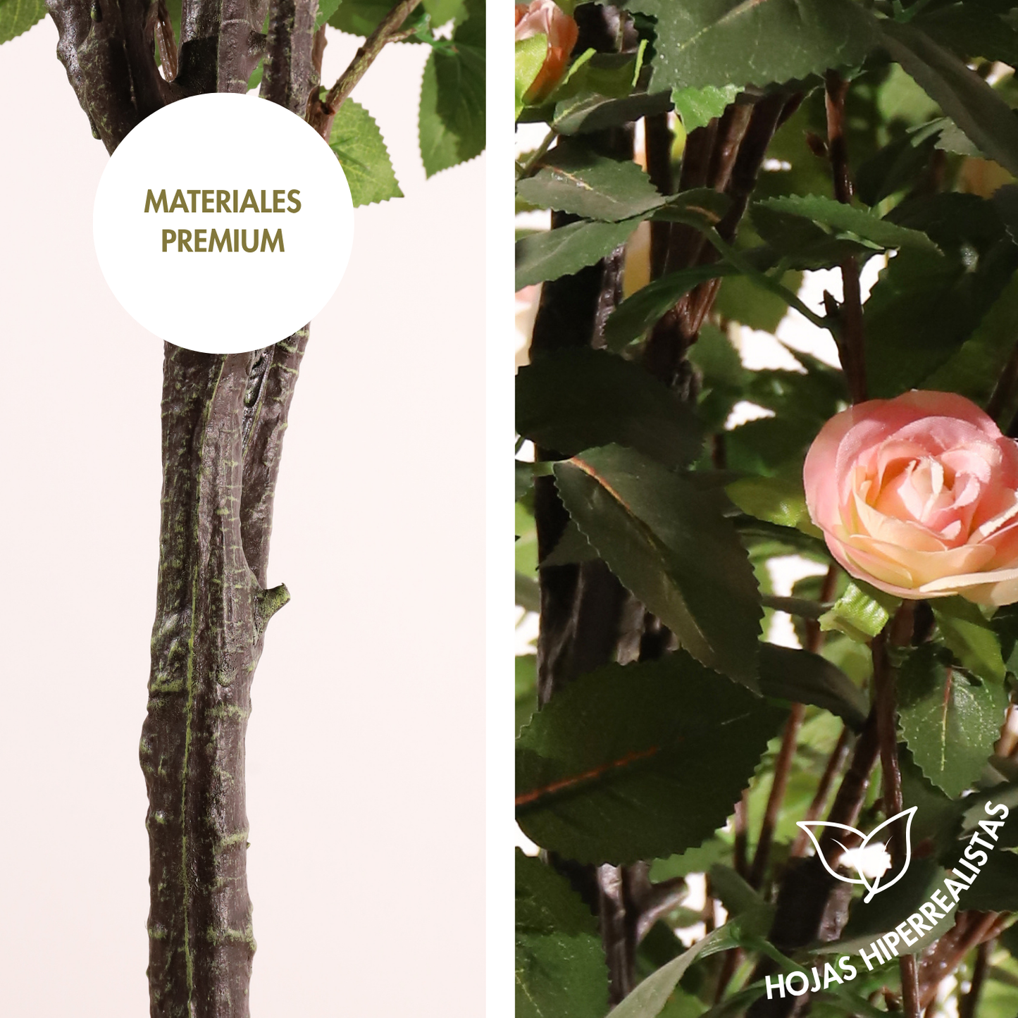 Rosal rosa claro 160 cm