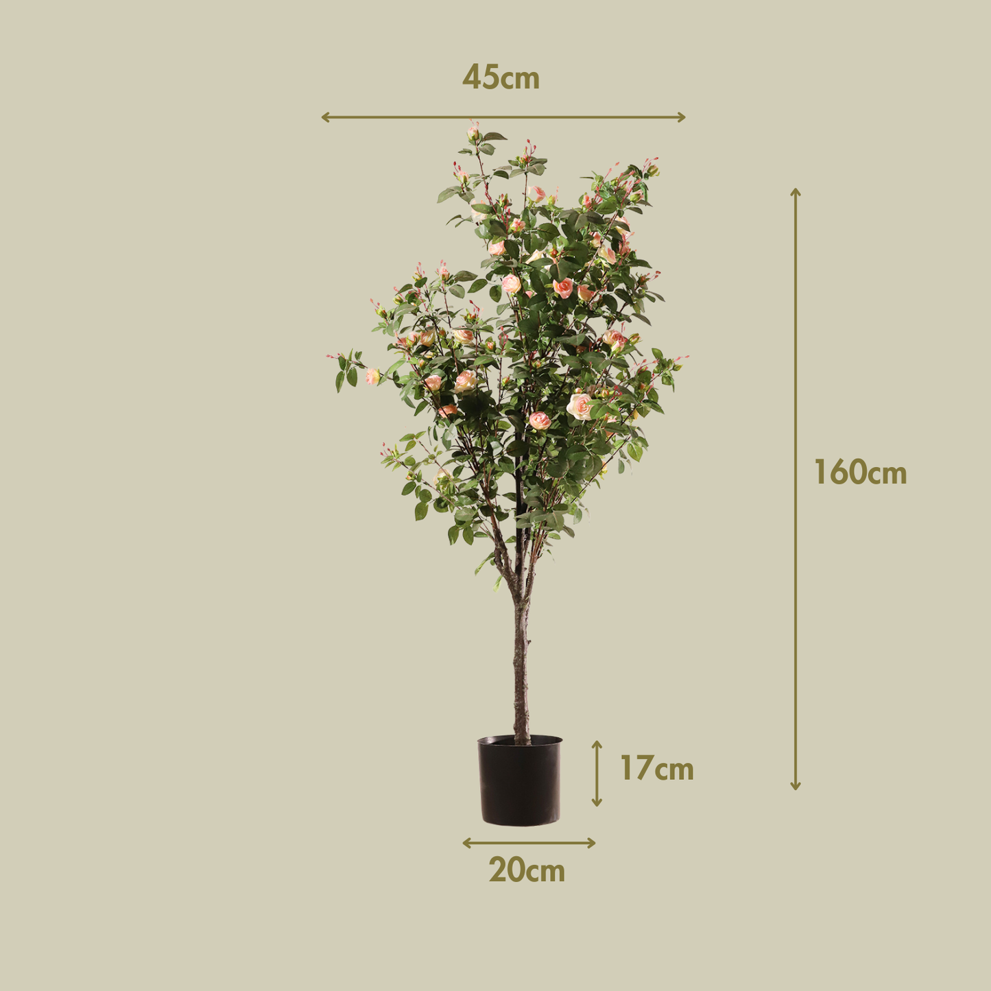 Rosal rosa claro 160 cm