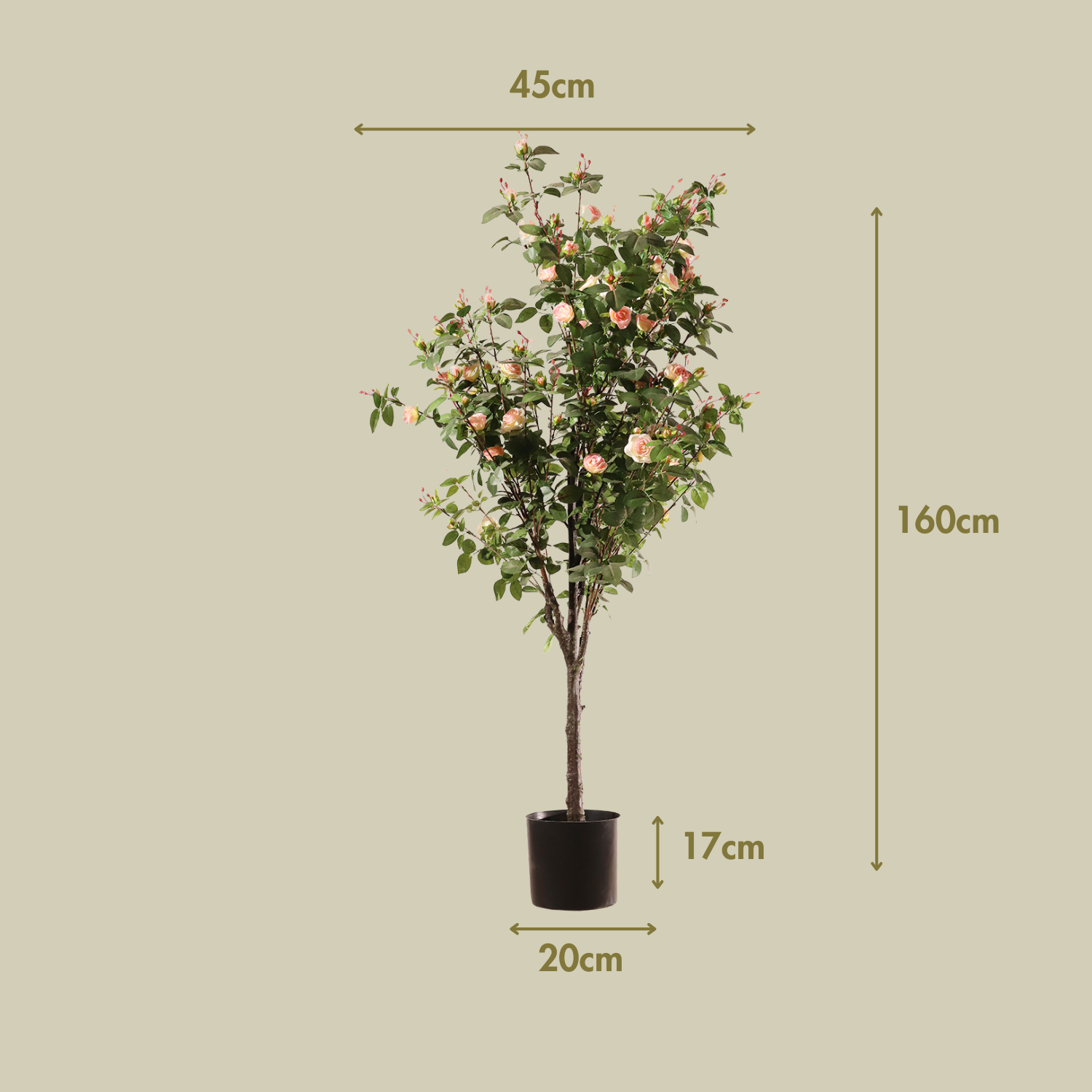 Rosal rosa claro 160 cm