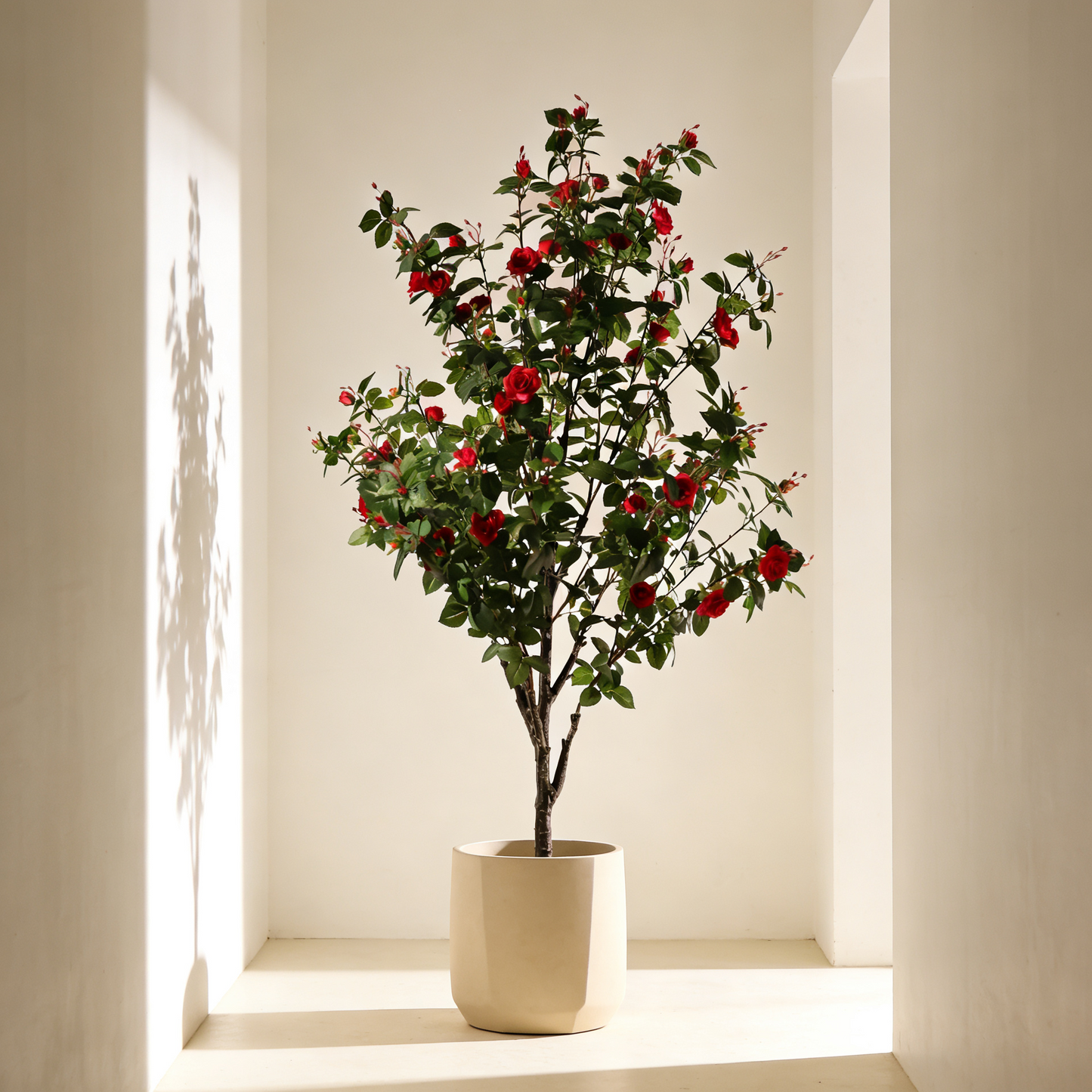 Rosal fucsia 160 cm