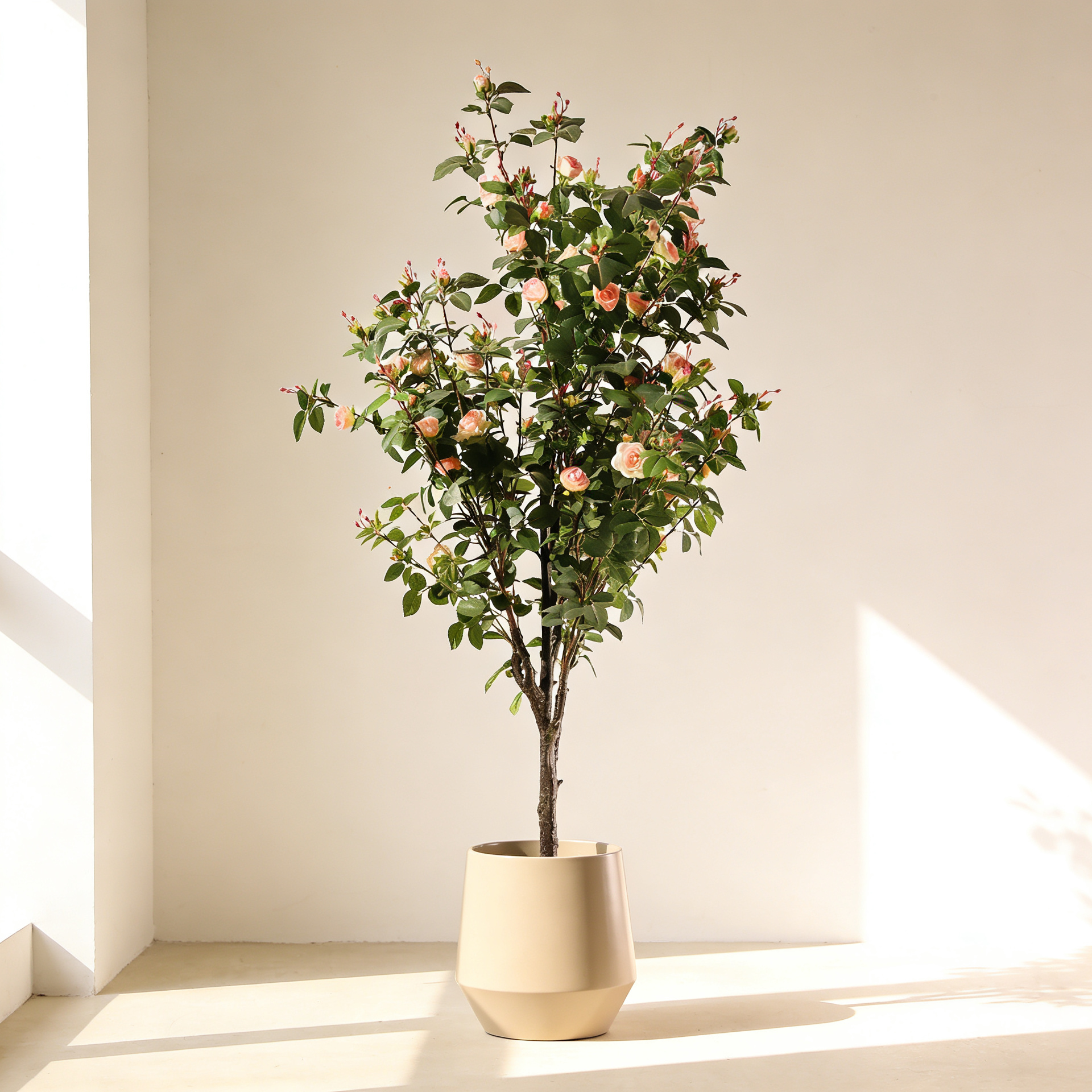 Rosal rosa claro 160 cm