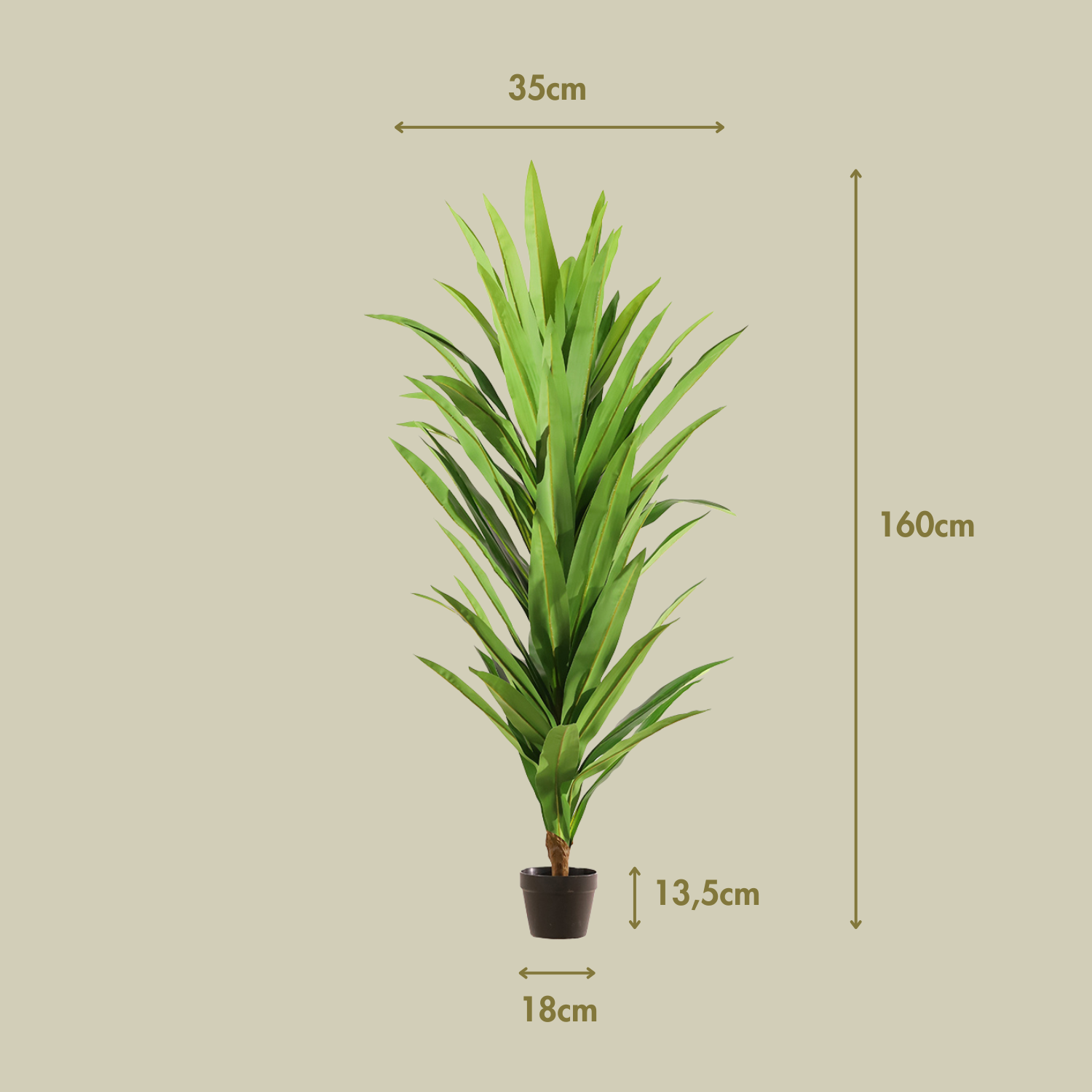 Yuca 160 cm
