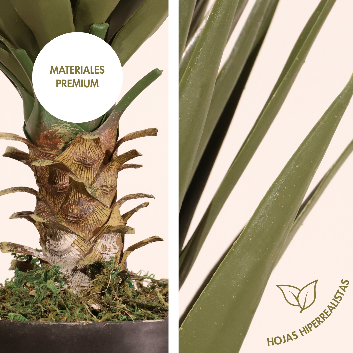 Yuca 80cm