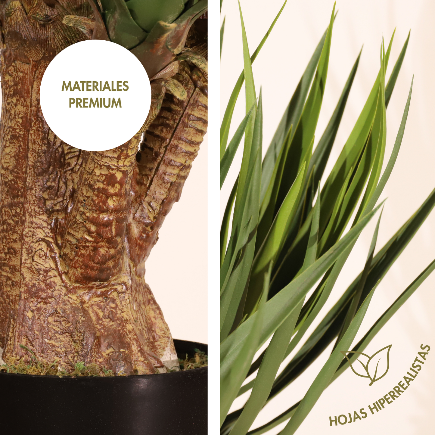 Yuca premium 80 cm
