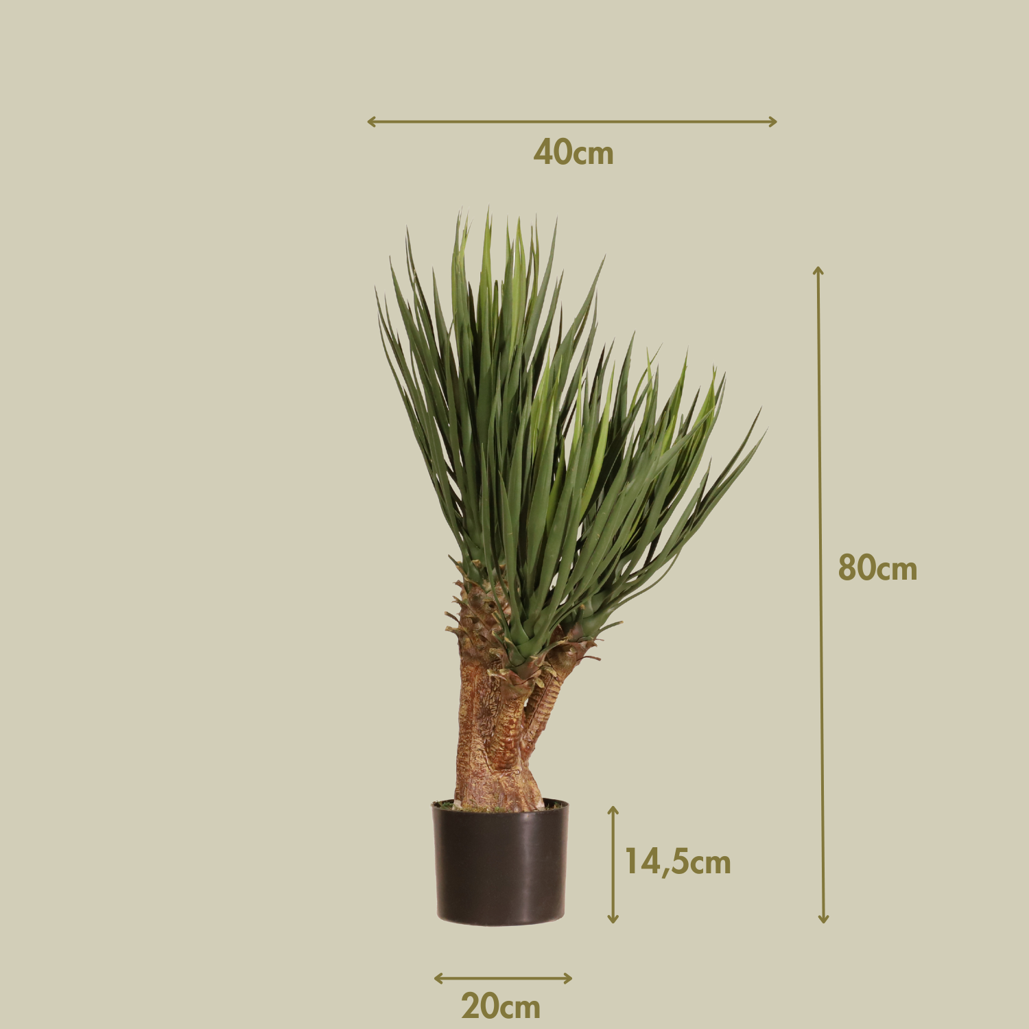 Yuca premium 80 cm