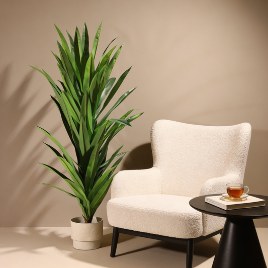 Yuca 160 cm